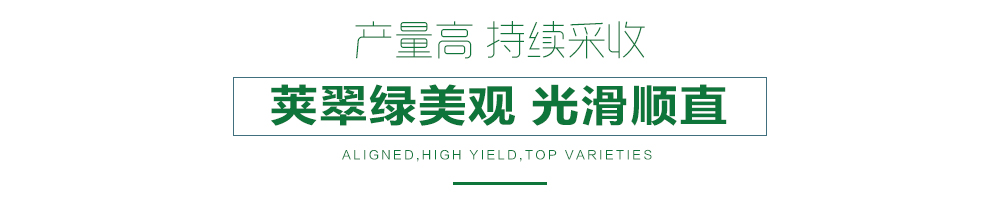 1558057248658390.jpg 詳情頁24.jpg