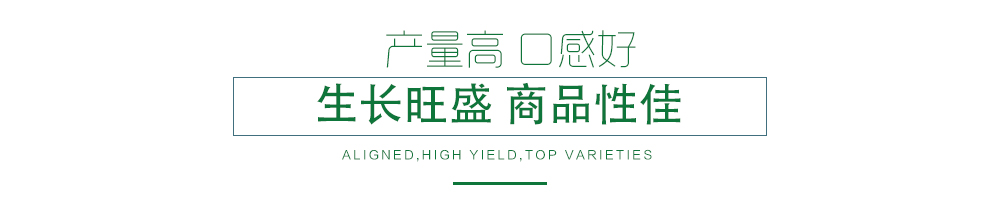 1585790172264092.jpg 03.jpg